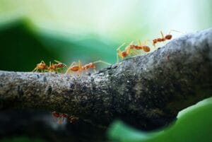 10 datos interesantes sobre el zoológico